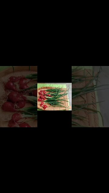 নতুন পেয়াজকলি নতুন আলু দিয়ে মজাদার রেসিপি😍😋🤤@BENGALCOOKING #shorts #youtubeshorts #viral #trending