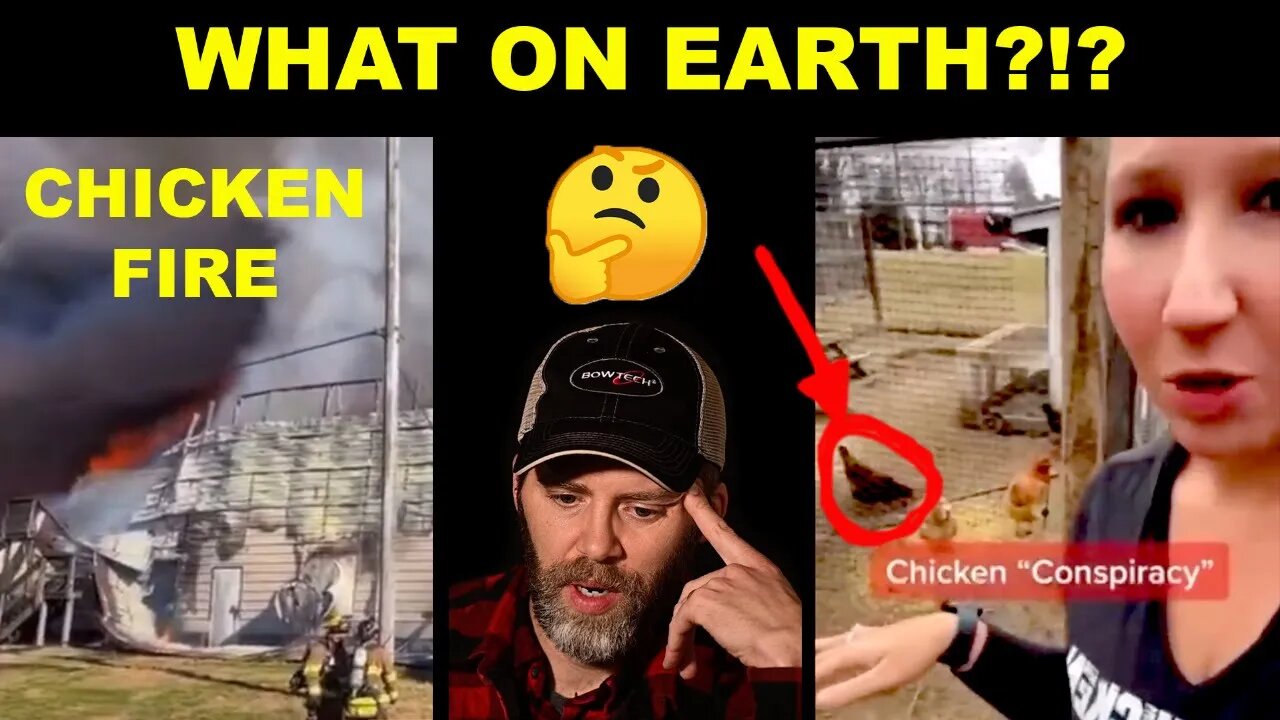 Eggs, feed, & fires!! What is REALLY going on? Let's look at the videos.