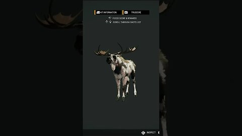 Gold 🟡 PIEBALD Moose 💔 Pump Station Disconnect - theHunter: Call of the Wild #shorts