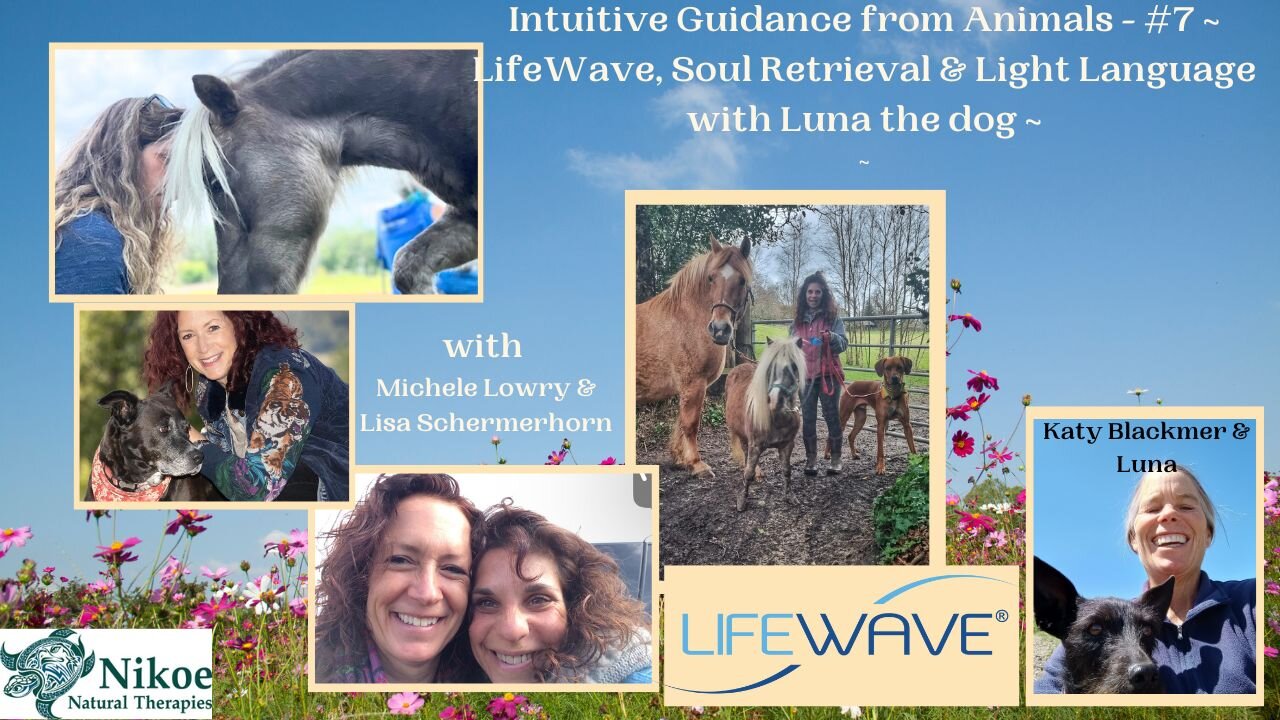 Communication from Luna the Dog, LifeWave for Animals, Soul Retrievals for Animals