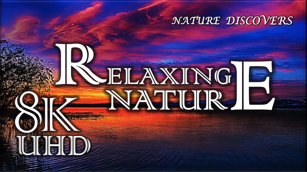 Relaxing Nature ♬🎶|| Nature Relaxing || Stress Reduced Music|| Nature Discovery || 8K UHD Quality