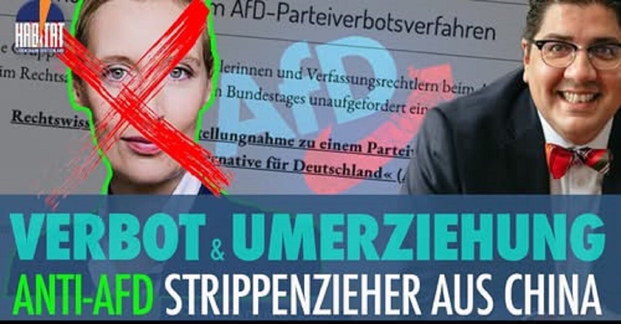 PERFIDE AFD-JAGD 🇨🇳 PROFESSOR AUS CHINA will die Partei zerstören und AFD-Wählerströme umleiten