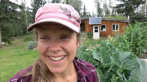 Off-Grid Gravity Water System using Beaver Pond Water