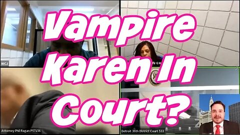 Wild Court Moments #294 Karen Wants To Represent Herself!
