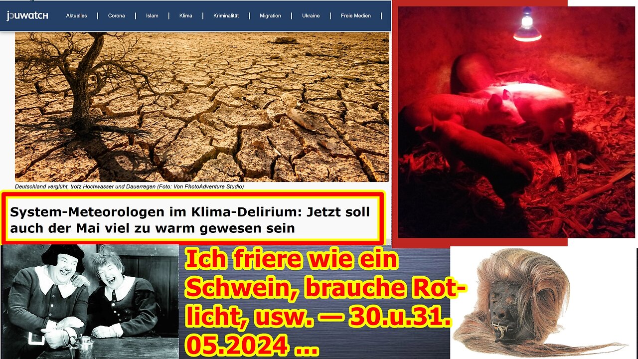 Ich friere wie ein Schwein, brauche Rotlicht, usw. — 30.u.31.05.2024 ...