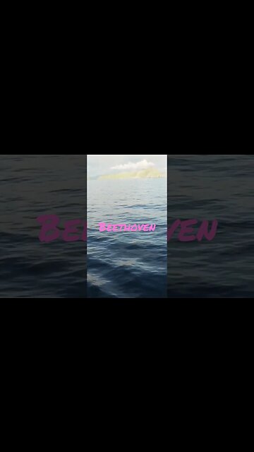 Symphony no 5 Op 67 - complete opera on Channel - Subscribe For More #shorts #beethoven #classical