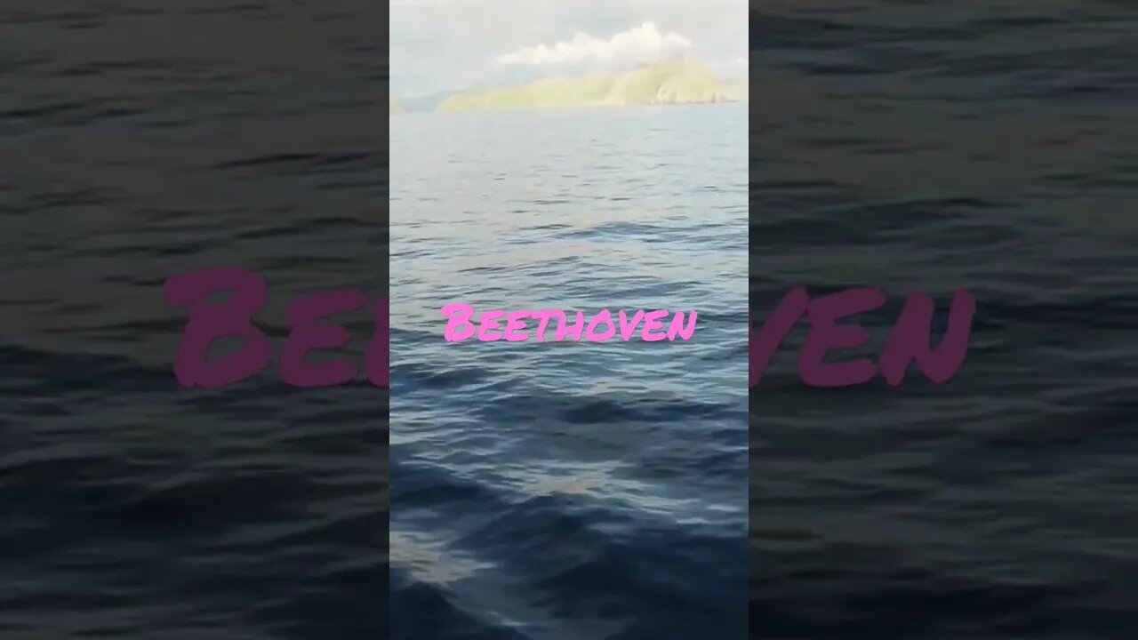 Symphony no 5 Op 67 - complete opera on Channel - Subscribe For More #shorts #beethoven #classical