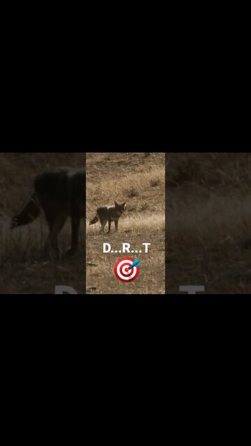 DEAD...RIGHT...THERE