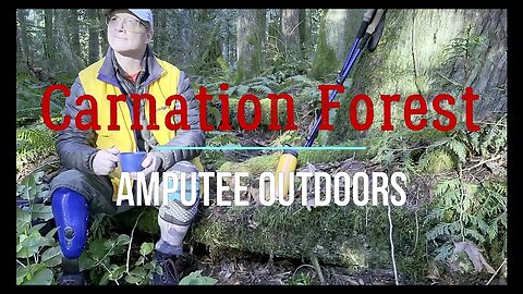 Calming Carnation Woods Hike - Amputee Outdoors #pnwlife #hiking #naturelovers