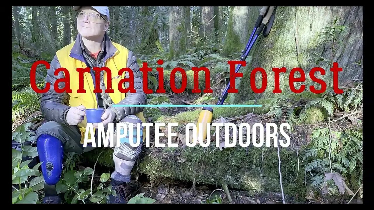 Calming Carnation Woods Hike - Amputee Outdoors #pnwlife #hiking #naturelovers