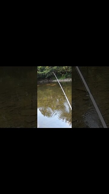 Back to Back smallmouth bass bites on the whopper plopper!