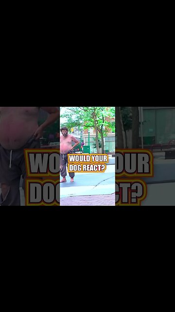 Would Your Dog Protect You? #shorts #dog