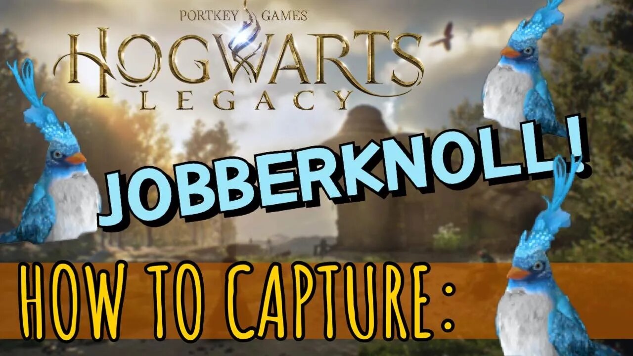 ⚡Where to Find and Capture the Jobberknoll in Hogwarts Legacy⚡