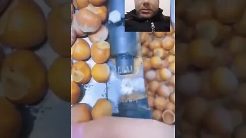 ماكينة صغيرة لتكسير البندق #reels #reel #morocco #maroc