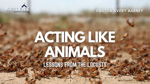 Acting Like Animals: Locusts (Full Service) | Pastor Avery Barney