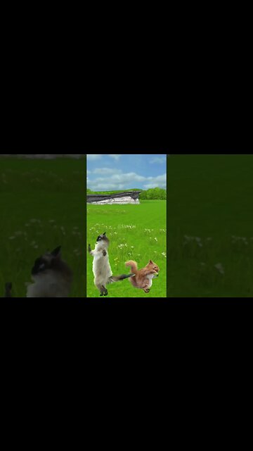 Cats & Weasel! Funny Animations!: The Best Collection on YouTube! #shorts #animations