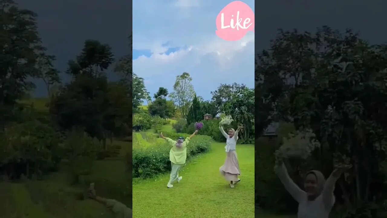 viral video of 2023 on TikTok and shorts #youtubeshorts sl#thanksgiving #cute