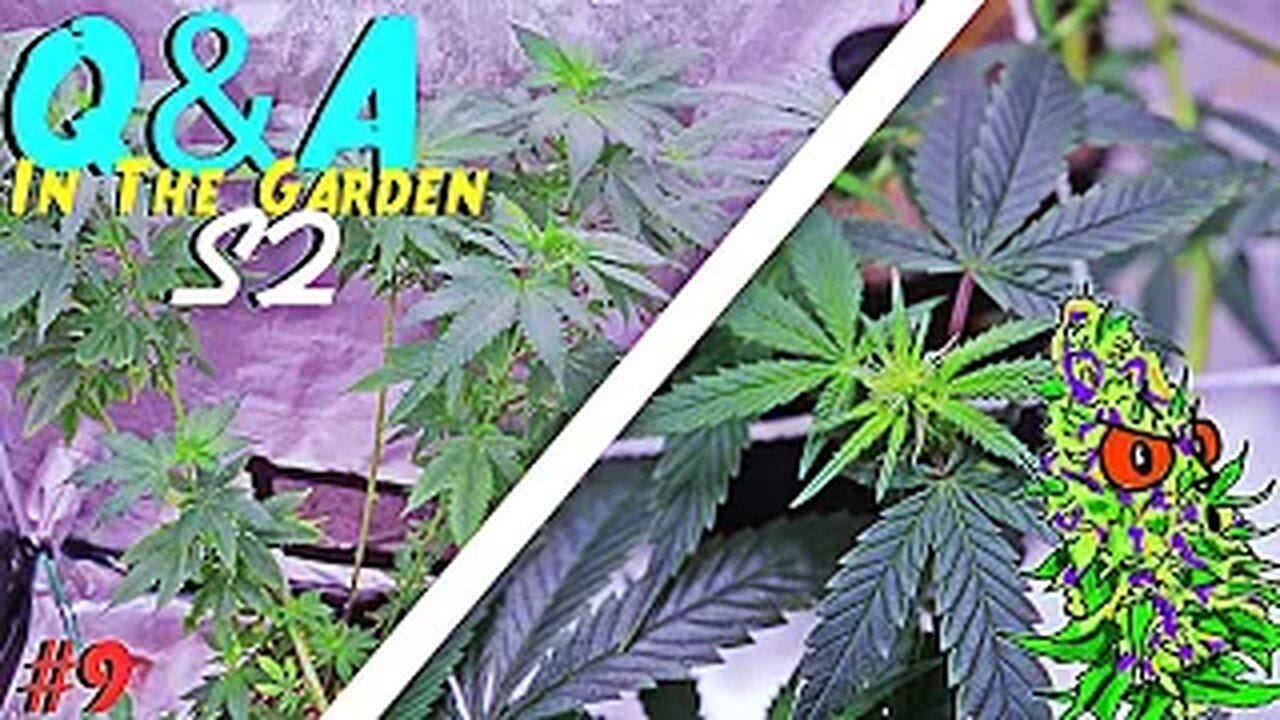 Q&A | In The Garden | Season 2 Episode 9