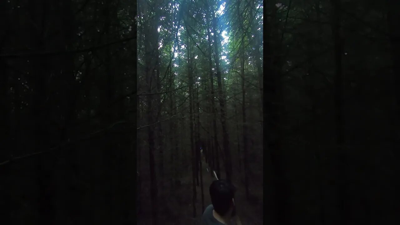 66LBS Bow Light Nocks Arrow Flight Through The Trees