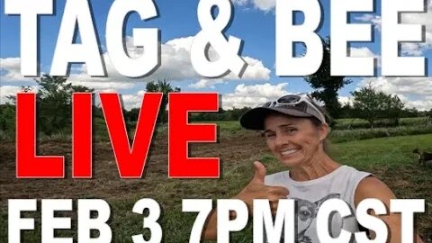 - TAG AND BEE LIVE
