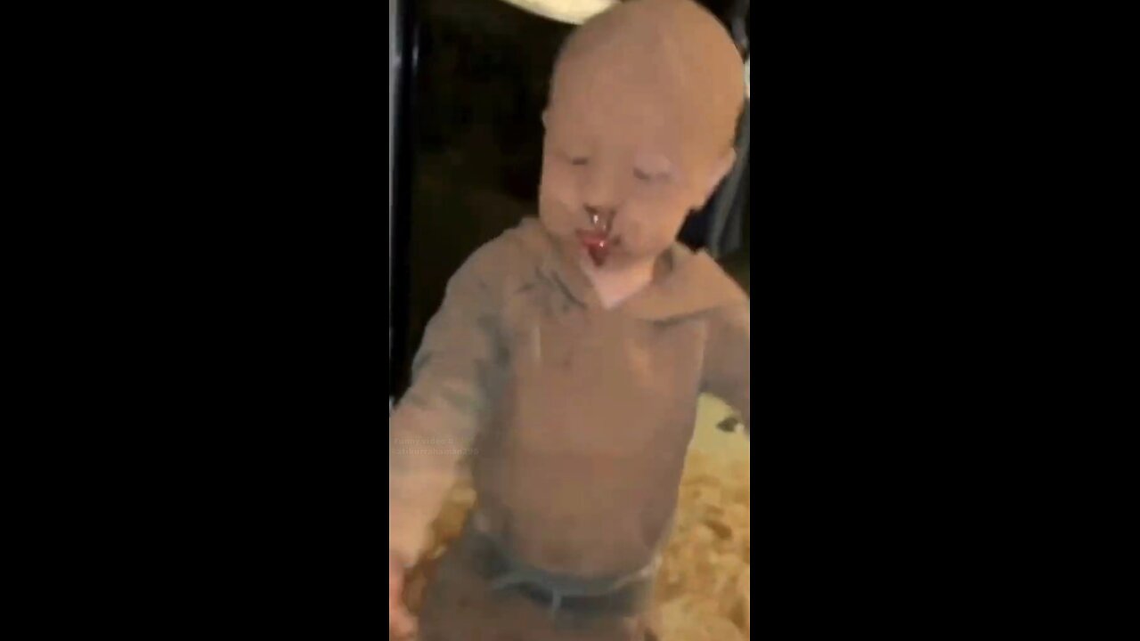 funny video clips