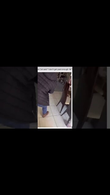 #shorts #rat #car #cat #mousetrap