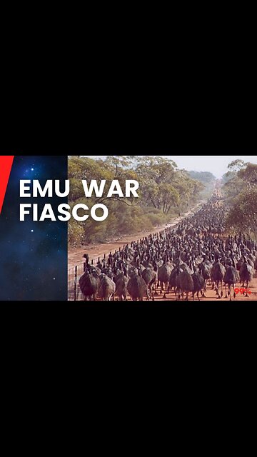 Australia's Bizarre Battle Against Emus in the Great Emu War