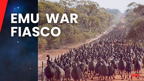 Australia's Bizarre Battle Against Emus in the Great Emu War