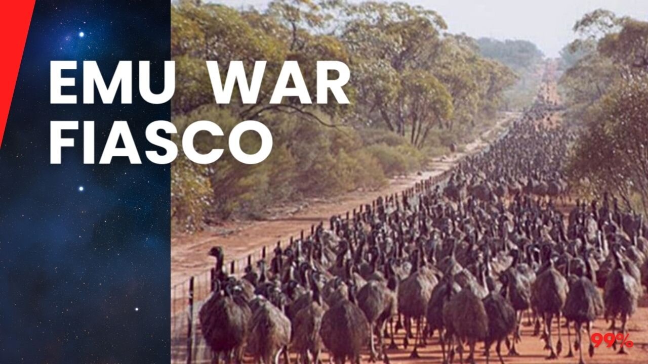 Australia's Bizarre Battle Against Emus in the Great Emu War