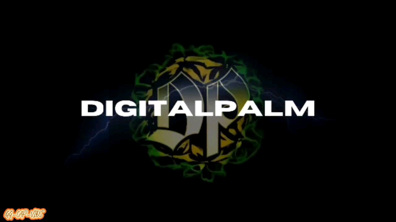Digital Palm Recap - Remix M.I.A.