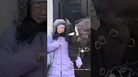 Her arm is in the Horse's mouth #horseguardsparade