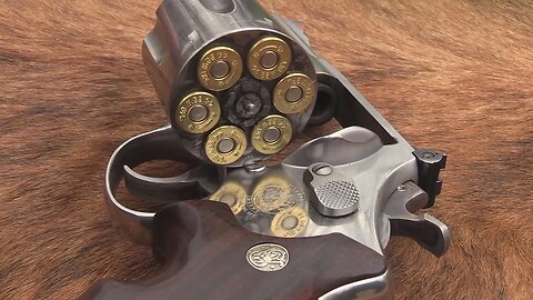 44 Magnum Model 629-4 Chapter 2