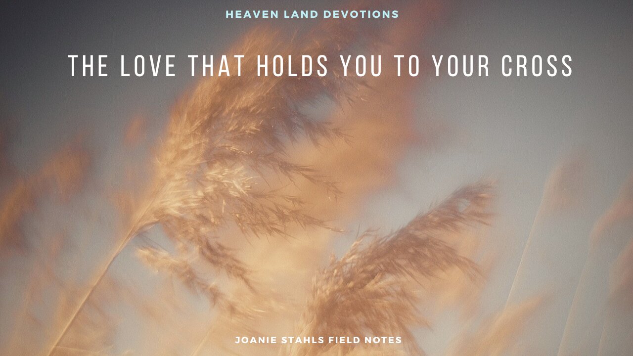 Heaven Land Devotions - The Love That Holds You To Your Cross