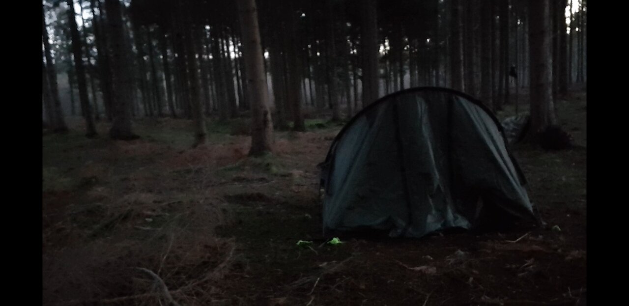 Staking out the Snugpak scorpion 3 tent.. 18th Jan 2023