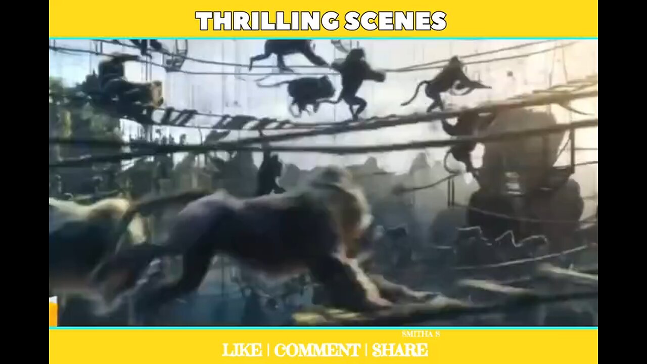 Hollywood film Action clips