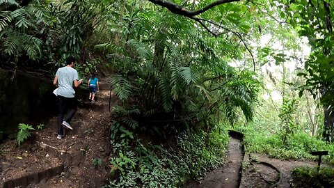 Butterfly Garden in San Jose Costa Rica Part: 2 (The Hiking Trail)