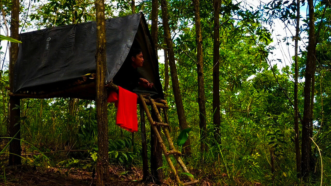 SOLO CAMPING SURVIVAL IN THE FOREST • CREATING A SIMPLE TREE SHELTER