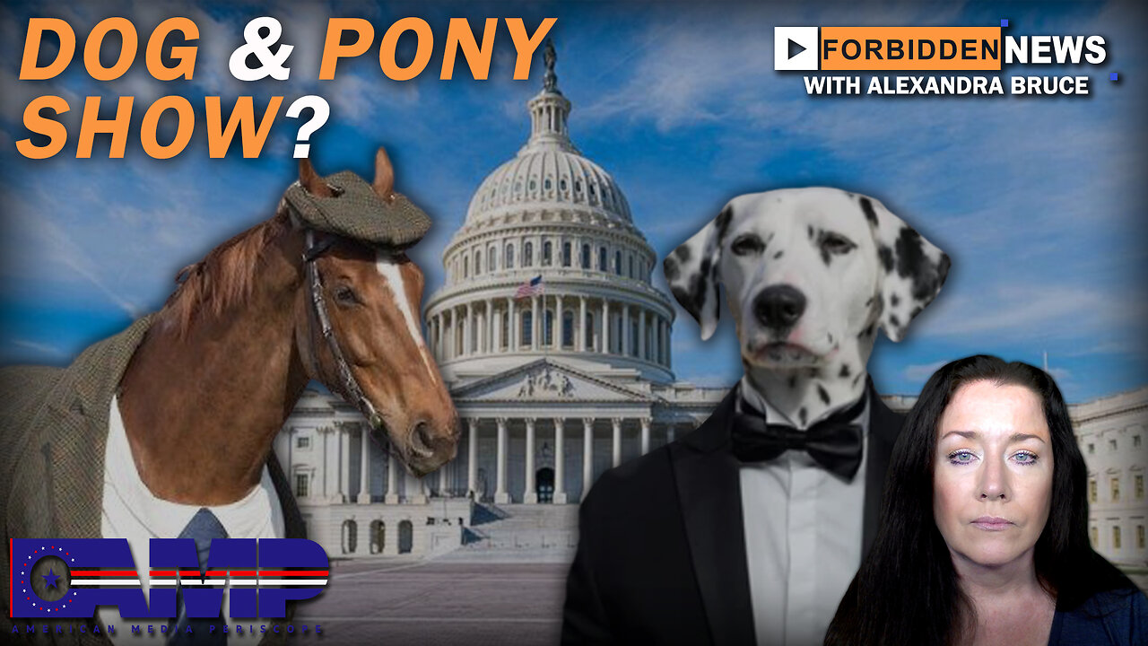 Dog & Pony Show? | Forbidden News Ep. 31