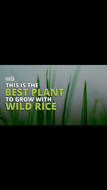 This Is the Best Plant to Grow With Wild Rice
