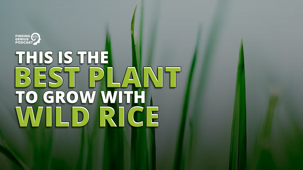 This Is the Best Plant to Grow With Wild Rice