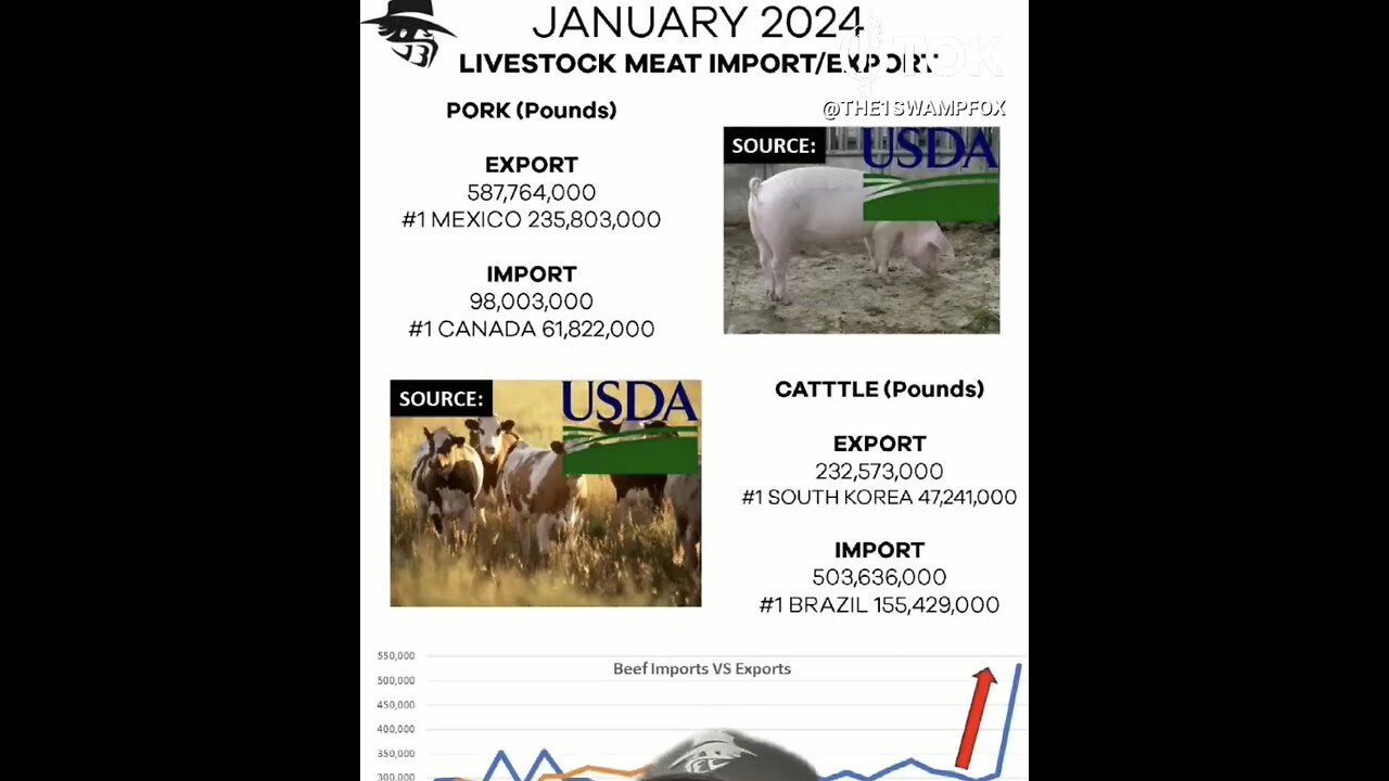 UNITED STATES🇺🇸🥩🐂MASSIVE MEAT IMPORTS FROM OTHER NATIONS🥓🐖💫