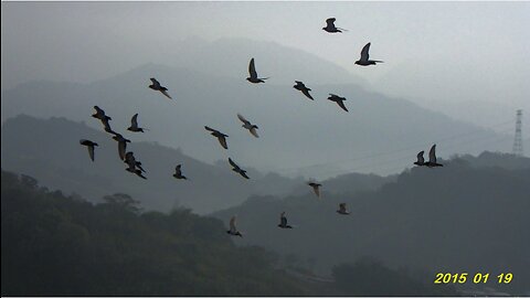 15_0201 Beautiful Sunday