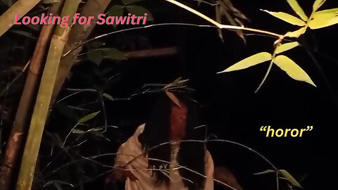 Looking for Sawitri