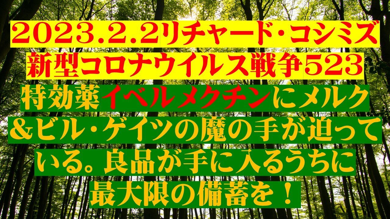2023.02.02 リチャード・コシミズ新型コロナウイルス戦争523