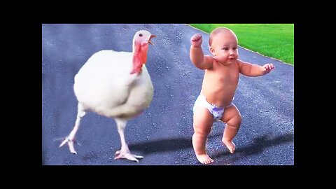 Try Not to Laugh Funny Baby | Baby and Animal Cute Funny Moments