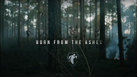 GHOSTS IN THE MACHINE