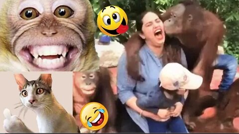 the Animals is Very funny 😁 😂 😀