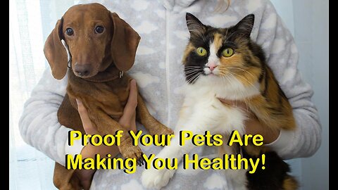 Scientific Proof Your Pet Is Making You Healthy! 🐶🐱