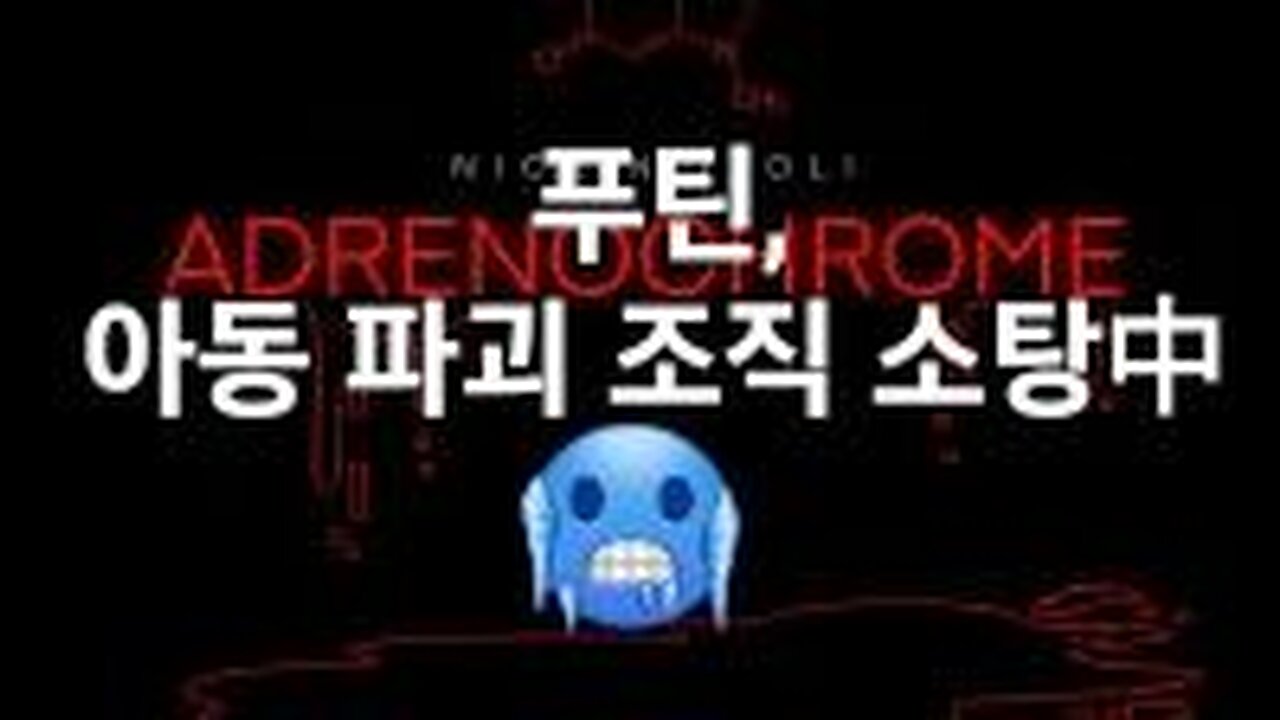 푸틴, 어린이 학대 DS 악마들 소탕. 230210