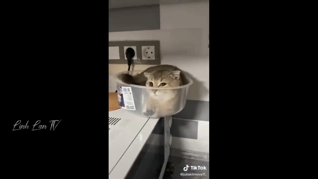 Collection of funny moments!!!!